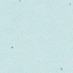 (39074a1) Page 049 Atlantic City Preview 3