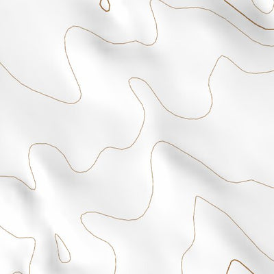 39102SW Burlington Topo Bundle Preview 2