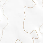 39102SW Page 58 Burlington Topo Preview 2