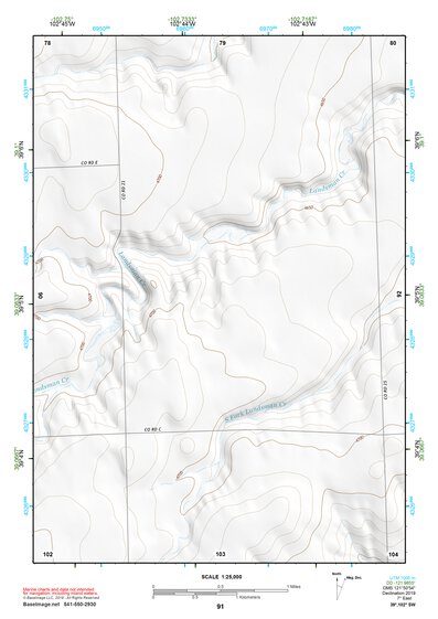 39102SW Page 91 Burlington Topo Preview 1