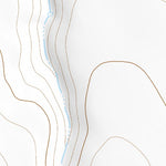39103NW Page 46 Last Chance Topo Preview 2