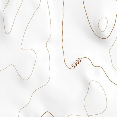 39103SE Page 2 Limon Topo Preview 2