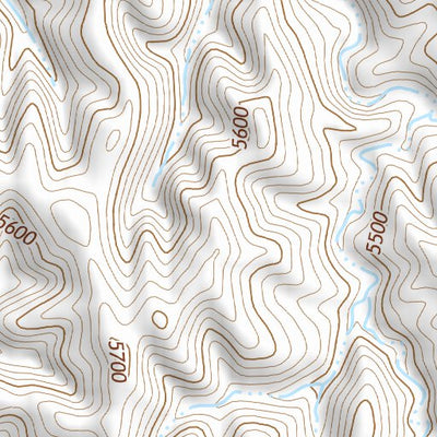 39103SW Page 18 Limon Topo Preview 2