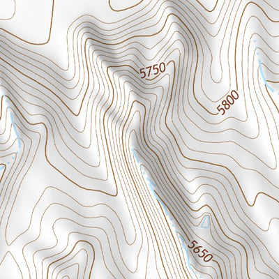 39103SW Page 31 Limon Topo Preview 3