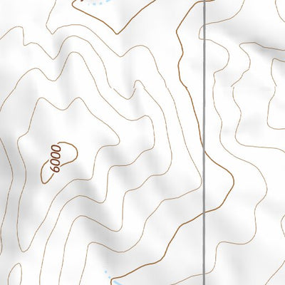 39103SW Page 49 Limon Topo Preview 2