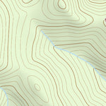 39105SW Page 5 Bailey Topo Preview 2