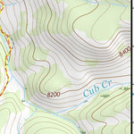 39106NE Page 10 Vail Topo Preview 3