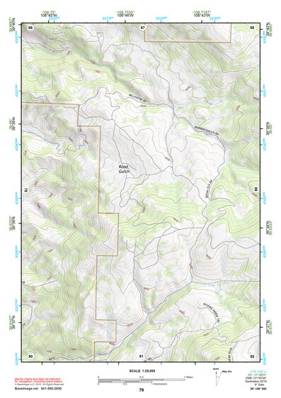 39106NW Page 79 Vail Topo Preview 1