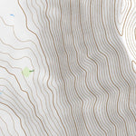 39106SE Page 45 Leadville Topo Preview 2