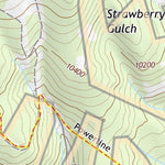 39106SE Page 51 Leadville Topo Preview 2