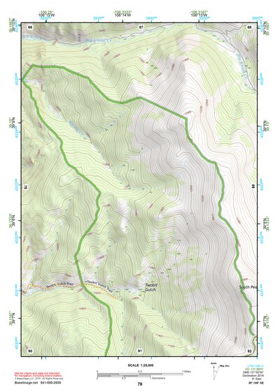 39106SE Page 79 Leadville Topo Preview 1