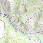 39106SW Page 5 Leadville Topo Preview 3