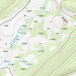 39106SW Page 21 Leadville Topo Preview 2