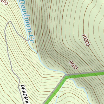 39106SW Page 43 Leadville Topo Preview 3