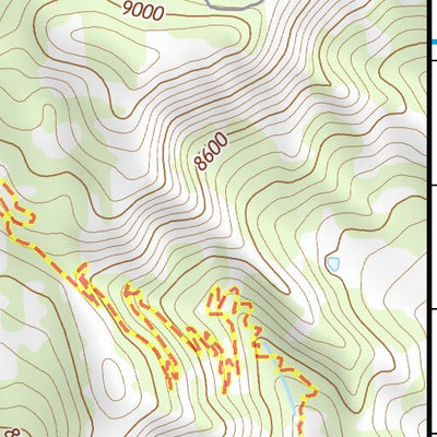39106SW Page 50 Leadville Topo Preview 3