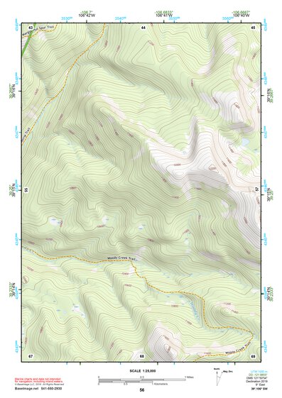 39106SW Page 56 Leadville Topo Preview 1