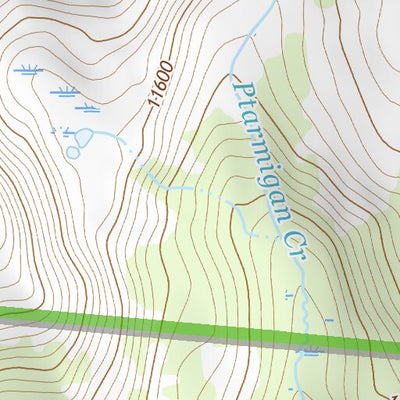 39106SW Page 80 Leadville Topo Preview 2