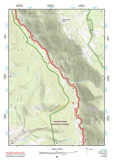 39106SW Page 89 Leadville Topo Preview 1