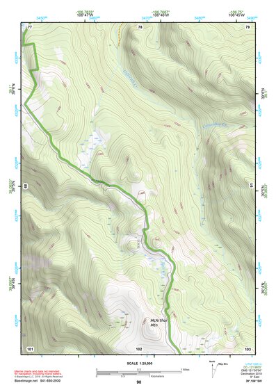 39106SW Page 90 Leadville Topo Preview 1