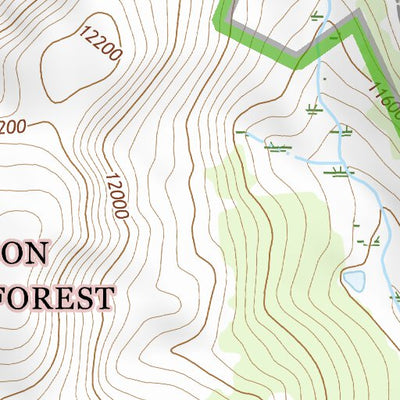 39106SW Page 104 Leadville Topo Preview 2