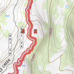39107NE Page 52 Glenwood Springs Topo Preview 3
