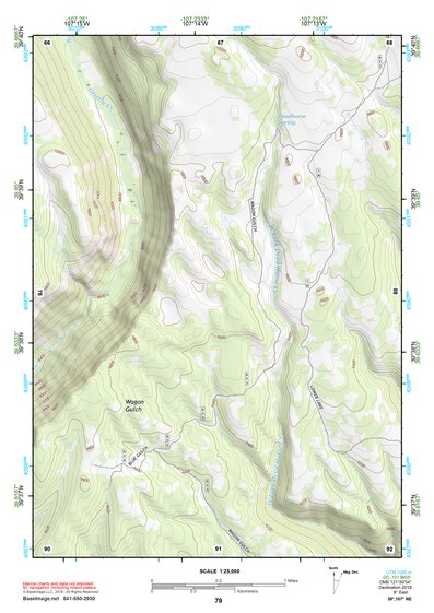 39107NE Page 79 Glenwood Springs Topo Preview 1