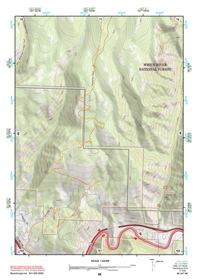 39107NE Page 89 Glenwood Springs Topo Preview 1
