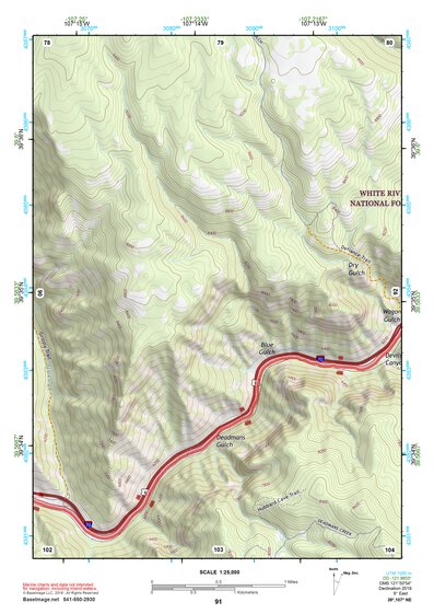 39107NE Page 91 Glenwood Springs Topo Preview 1