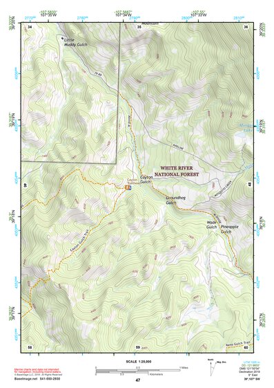 39107SW Page 47 Carbondale Topo Preview 1