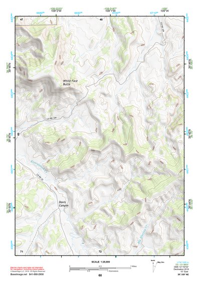 39109NE Page 60 Seep Ridge Topo Preview 1