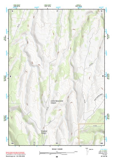 39109NE Page 89 Seep Ridge Topo Preview 1