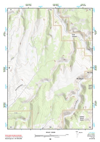 39109NE Page 90 Seep Ridge Topo Preview 1