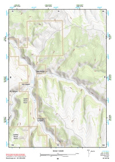 39109NE Page 91 Seep Ridge Topo Preview 1