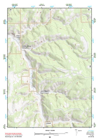 39109NE Page 99 Seep Ridge Topo Preview 1