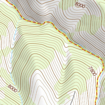 39110NE Page 1 Price Topo Preview 3