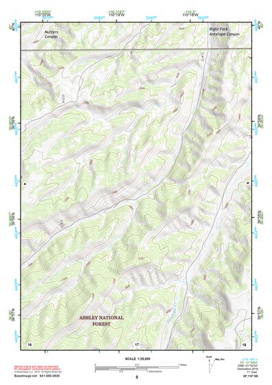 39110NE Page 5 Price Topo Preview 1