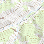 39110NE Page 5 Price Topo Preview 2