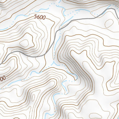 39110NE Page 12 Price Topo Preview 2