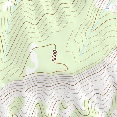 39110NE Page 16 Price Topo Preview 2