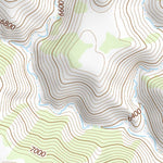 39110NE Page 29 Price Topo Preview 3