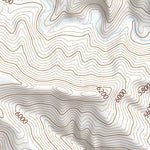 39110NE Page 46 Price Topo Preview 3