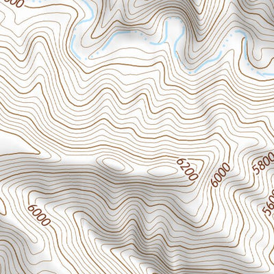 39110NE Page 46 Price Topo Preview 3