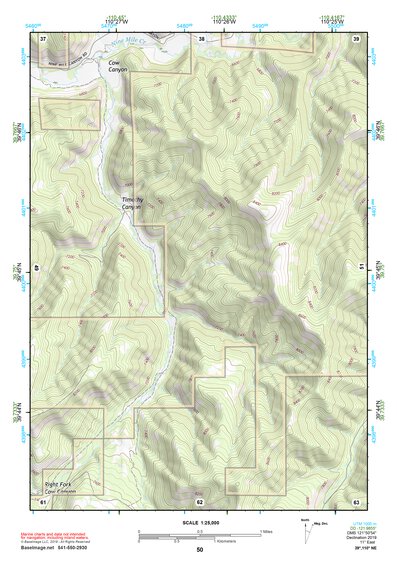 39110NE Page 50 Price Topo Preview 1
