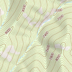 39110NE Page 51 Price Topo Preview 3