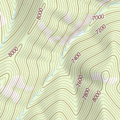 39110NE Page 51 Price Topo Preview 3