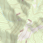39110NE Page 62 Price Topo Preview 3