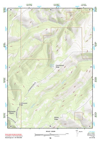 39110NE Page 78 Price Topo Preview 1