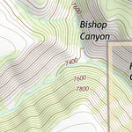 39110NE Page 80 Price Topo Preview 3