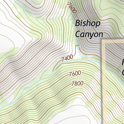 39110NE Page 80 Price Topo Preview 3