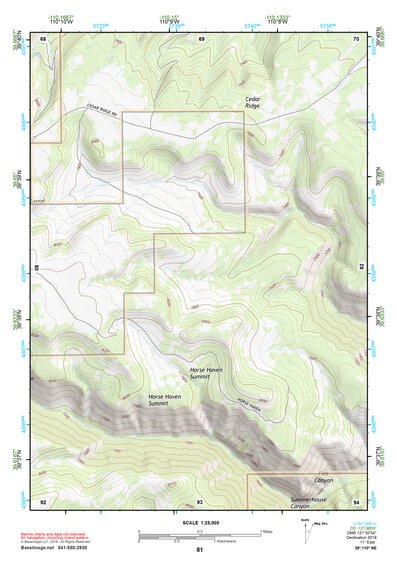 39110NE Page 81 Price Topo Preview 1